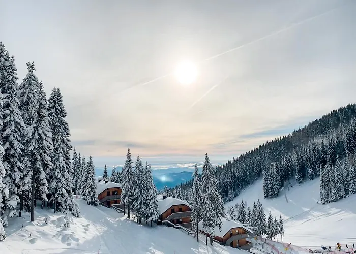 Sunshine Golte - Sauna * モジリェ