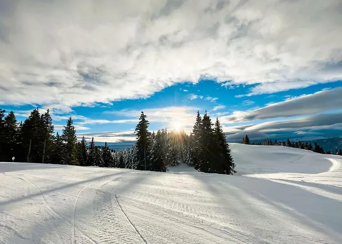 Sunshine Golte - Sauna モジリェ